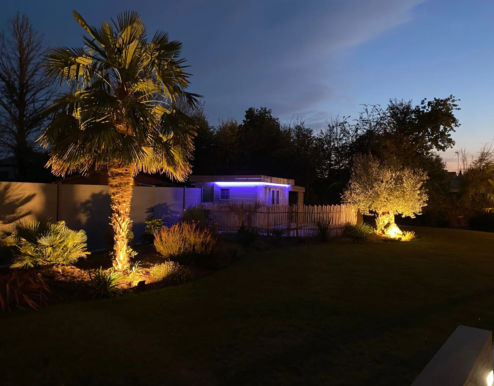 Jardin paysager éclairé à la tombée de la nuit, palmier et olivier mis en lumière